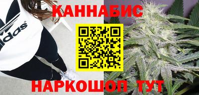 мяу мяу мука Краснознаменск