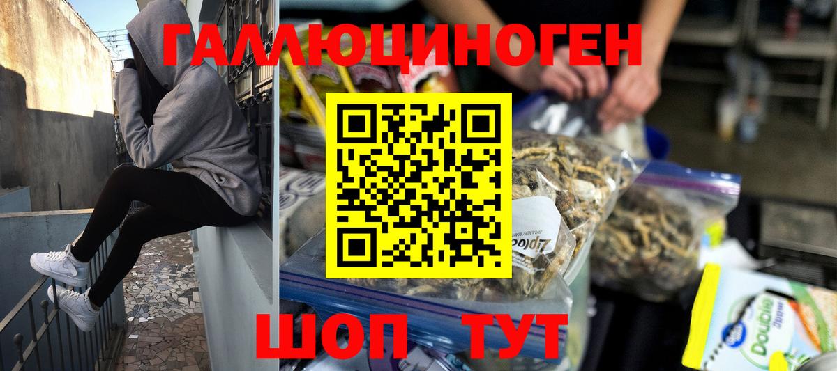 Псилоцибиновые грибы мицелий  Вход с VPN  Зима 