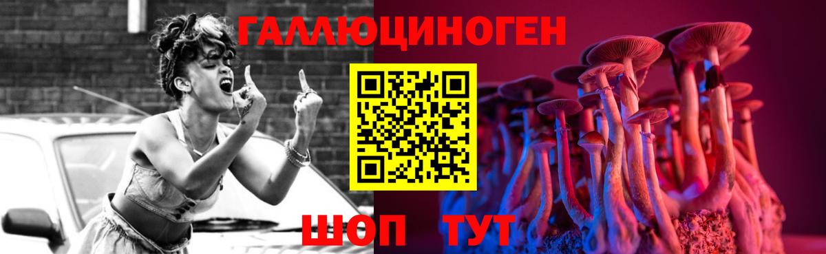 Галлюциногенные грибы прущие грибы Зима