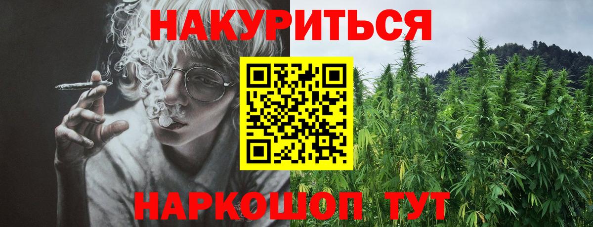 Марихуана тримм  Вход с VPN  Зима  Канабис план  Конопля Amnesia 